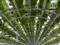 -兴芮温泉度假区