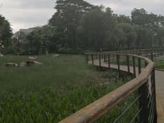 -映月湖公园
