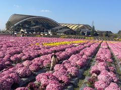 -中国天府农业博览园