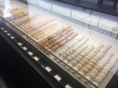 -BLACKSWAN黑天鹅(环球店)