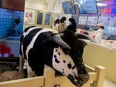 -红星前进面包牛奶公司(君太店)