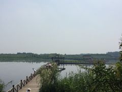 iphone_upload_pic-溱湖国家湿地公园