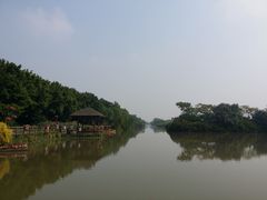 景点-大湾区中央湿地公园