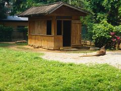 -南宁市动物园