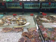 -渔傅·蓝海岸霞浦海鲜(正祥店)
