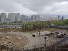 -青藏高原野生动物园