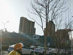 -凯德MALL(望京店)