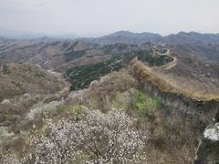 -蟠龙山长城景区