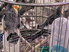 -蘭奢雅集·江浙菜(青山江滩店)