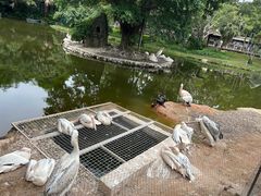 -深圳野生动物园