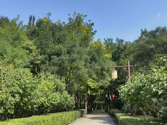 -古塔公园