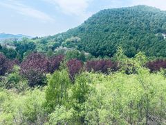 -四门塔风景区