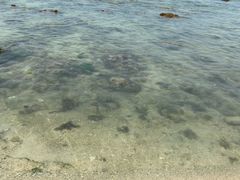 -三亚西岛海洋文化旅游区
