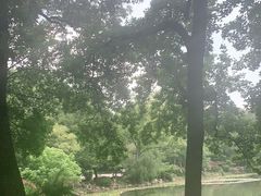 -灵谷景区