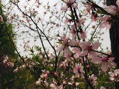 -江苏三台山国家森林公园