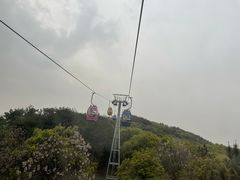 -东湖落雁景区