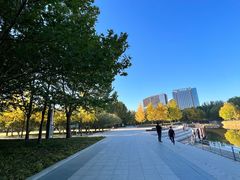 -大望京公园