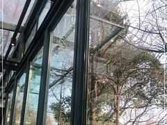 -星巴克(西湖天地店)