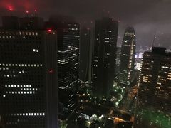 -东京都厅舍