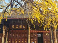 -古大圣慈寺