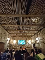 -翱翔飞越地平线