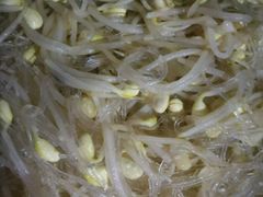 -霞姐屯昌枫木香草鸭店(海螺店)
