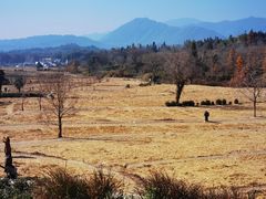 -塔川景区