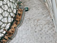 -自然博物馆新馆2楼餐厅