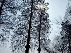 -湖滨客舍·湖北菜