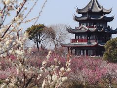 -上海海湾国家森林公园