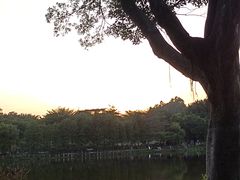 -东莞植物园