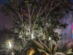 -堂会(缤缤店)