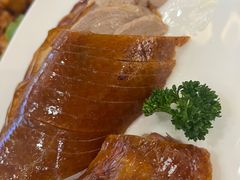 -普天和酒楼·新津菜·烤鸭(天津之眼店)