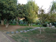 -后襄河公园