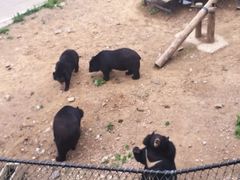 -大连森林动物园