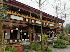 -青城甲(青城山店)