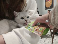 -星巴克(宁波老外滩店)