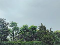 -南京维景国际大酒店(南京博物院店)