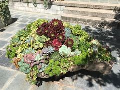 -苍山感通索道