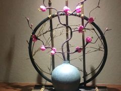 -Banana本娜娜·按摩养生SPA(上海湾店)