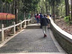 景点-灵岩山风景区