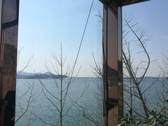 -望湖烤鱼