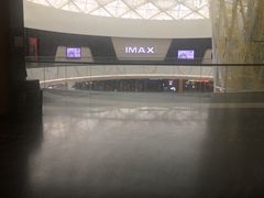 -万达影城(汉街万达广场IMAX店)