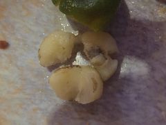 -春润大地海南椰子鸡(沙井京基百纳广场店)