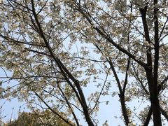 -苏州河梦清园环保主题公园