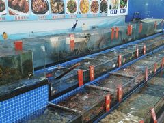 -红月湾海鲜饭店•沙滩海景(双月湾店)