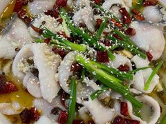水煮鲈鱼-邱大妈水煮(龙山店)