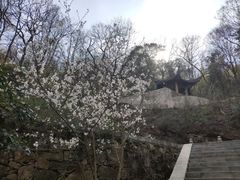 -南山风景名胜区