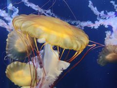 -成都浩海立方海洋公园