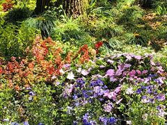 -上海共青森林公园